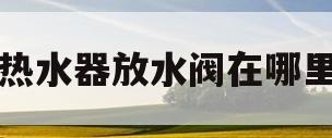 热水器放水阀在哪里(热水器放水阀漏水怎么弄)