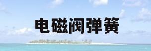 电磁阀弹簧的简单介绍