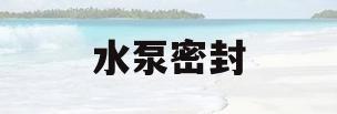 水泵密封(水泵密封环)
