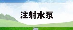 注射水泵(注射泵厂家)
