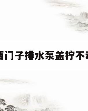 西门子排水泵盖拧不动(西门子排水泵盖拧不动视频)
