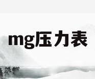 mg压力表(压力表lll)