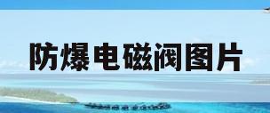 防爆电磁阀图片(防爆电磁阀怎么打开)