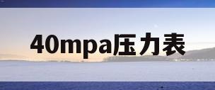 40mpa压力表(40MPa压力表图片)