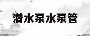 潜水泵水泵管(潜水泵管子的安装)