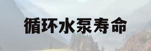 循环水泵寿命(循环泵寿命多久)