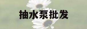 抽水泵批发(抽水泵厂家价格)