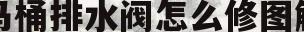 马桶排水阀怎么修图解(马桶排水阀怎么修图解大全)