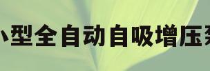 小型全自动自吸增压泵(全自动自吸增压泵使用说明)