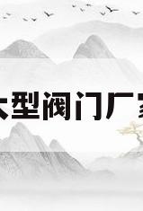 大型阀门厂家(大型阀门厂家哪家好)