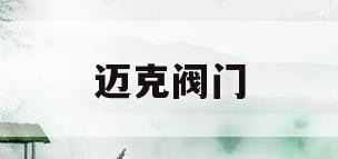 迈克阀门(济南迈克阀门科技有限公司)