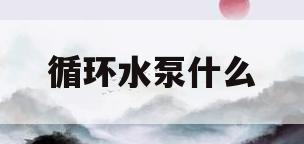 循环水泵什么(循环水泵什么店有买)