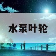 水泵叶轮(水泵叶轮与口环间隙)