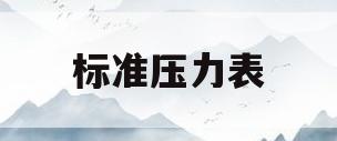 标准压力表(标准压力表选择)