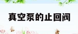 真空泵的止回阀(真空泵止回阀能做充气吗)