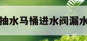 抽水马桶进水阀漏水(抽水马桶进水阀漏水维修)
