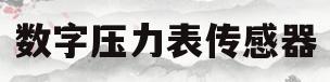 数字压力表传感器(数字显示压力传感器)