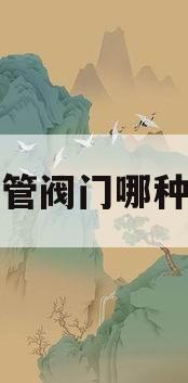 水管阀门哪种好(水管阀门哪种好最好的)