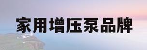 家用增压泵品牌(家用增压泵品牌十大排名)