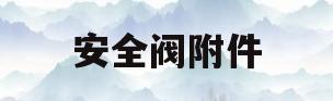安全阀附件(安全阀附件分为)