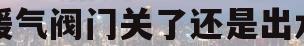 暖气阀门关了还是出水(暖气阀门关了还是出水正常吗)