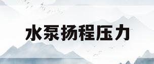 水泵扬程压力(水泵扬程压力表和真空表)