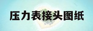 压力表接头图纸(压力表接头剖视图)