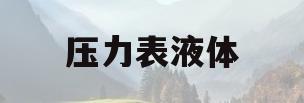 压力表液体(压力表中的液体的作用)