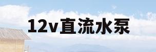 12v直流水泵(12v直流水泵怎么接线)