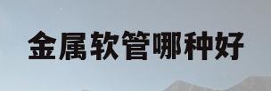 金属软管哪种好(金属软管金属软管)