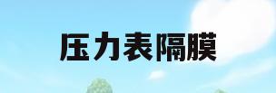 压力表隔膜(压力表隔膜材质)
