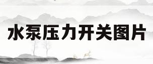 水泵压力开关图片(水泵压力开关图片大全)