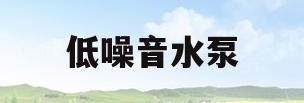 低噪音水泵(低噪音水泵多少分贝)
