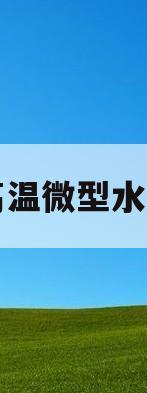 高温微型水泵(高温微型水泵的作用)