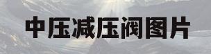 中压减压阀图片(中压减压阀图片大全)