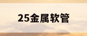 25金属软管(25金属软管规格型号)