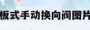 板式手动换向阀图片(板式手动换向阀图片大全)