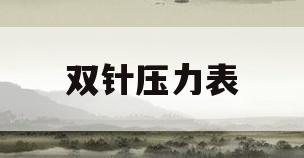 双针压力表(双针压力表红针代表什么)