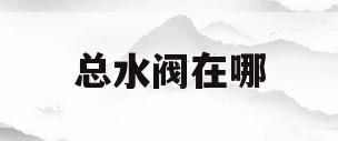 总水阀在哪(家用水阀门哪种好)