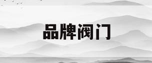 品牌阀门(品牌阀门厂家)
