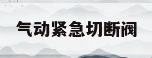 气动紧急切断阀(气动紧急切断阀操作规程)