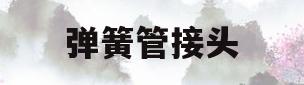 弹簧管接头(弹簧管接头安装视频)