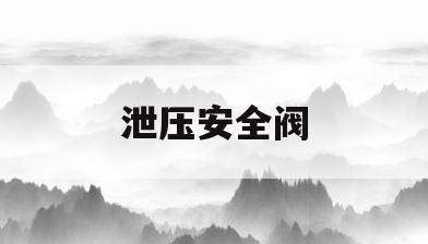 泄压安全阀(泄压安全阀安装示意图)