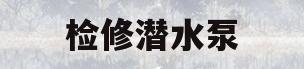 检修潜水泵(潜水泵检修内容)