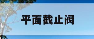 平面截止阀(平面截止阀阀座)