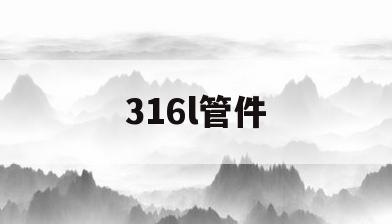 316l管件(316l管件定额乘系数吗)
