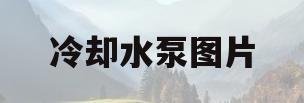 冷却水泵图片(冷却水泵选型手册)