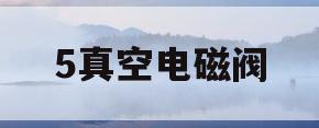 5真空电磁阀(真空电磁阀和普通电磁阀的区别)