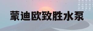 蒙迪欧致胜水泵(蒙迪欧致胜水泵又气孔吗)