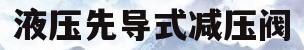 液压先导式减压阀(液压先导式减压阀带负载怎么调整的)